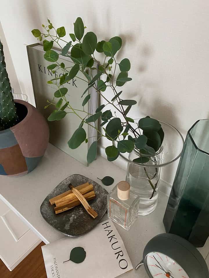 Natural color kitchen counter featuring plants and a vintage clock arranged harmoniously with a cozy atmosphere