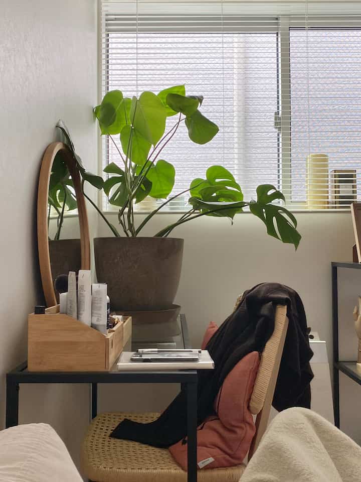 Natural-toned space featuring a vanity and a large plant next to a bright window with blinds