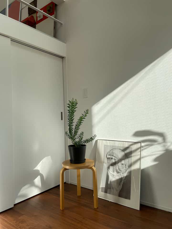 白い壁と茶色の木質床、スツールの上にアカシア・ブルーブッシュの植物が置かれたナチュラルな印象の空間