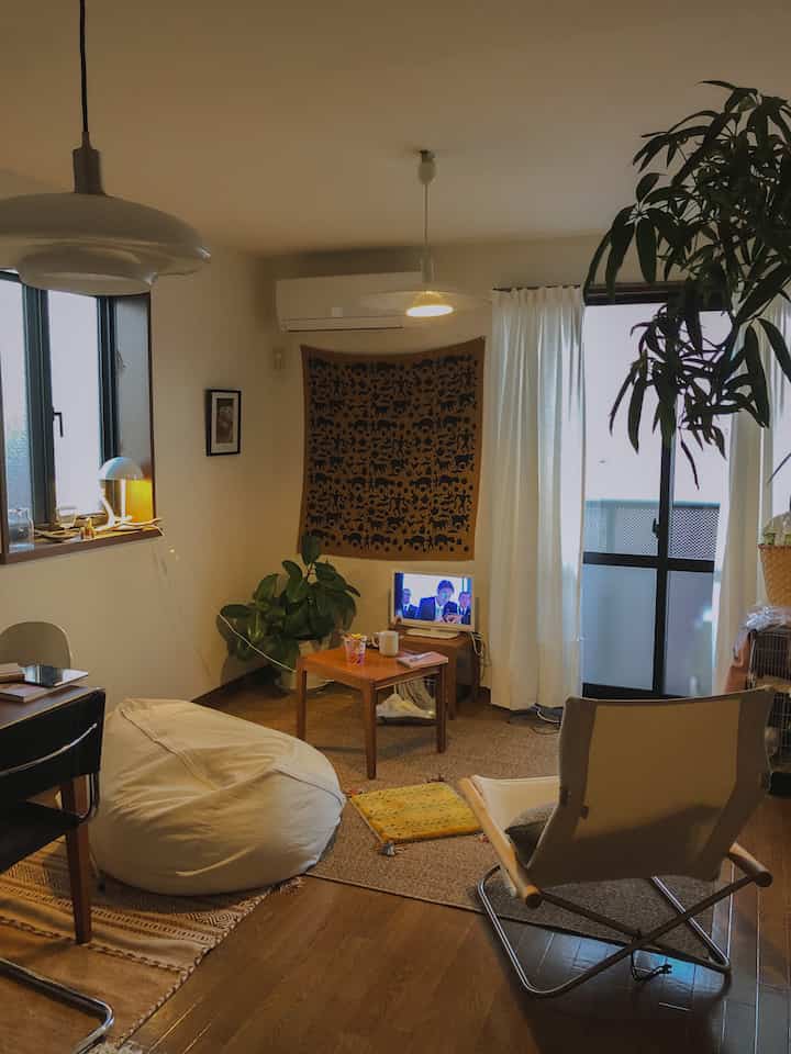 Natural-toned small single household living room featuring a bean bag, wooden coffee table, and plants creating a cozy atmosphere