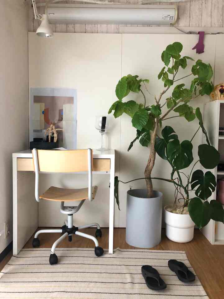 Natural and minimal white studio apartment home office featuring a desk, wood tone chair, and green plants creating a cozy atmosphere