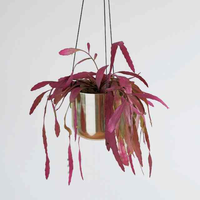 Raakel ハンギングプランター鉢カバー