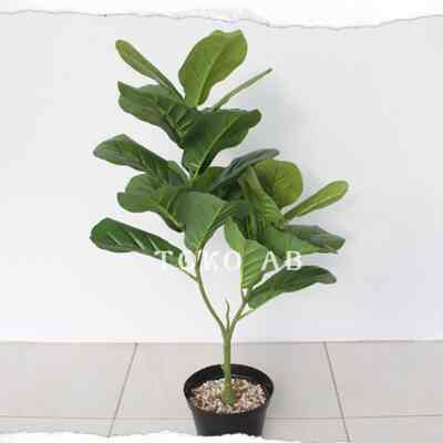 Ketapang artificial 80cm