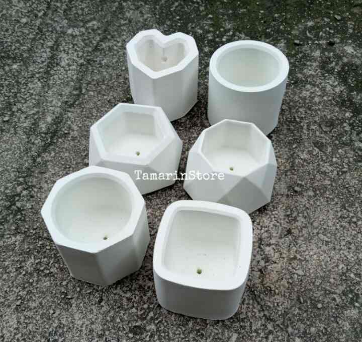 Pot Semen Bunga mini Kaktus Sukulen