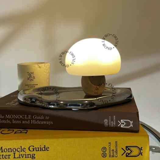 Mini Mushroom Table Lamp