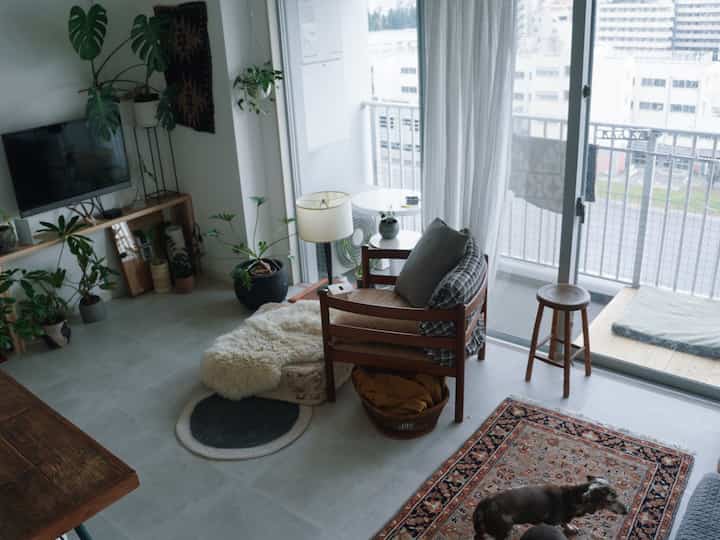 White and wood tone living room for single household, featuring plants and rugs with a natural cozy atmosphere