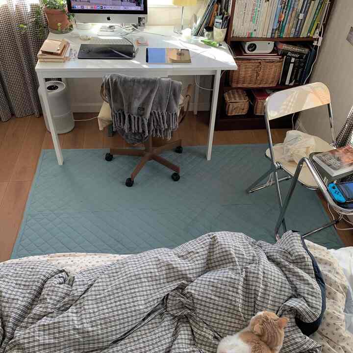 White and natural tone bedroom home office featuring a blue rug, bookshelf, and a cat creating a cozy atmosphere