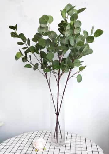 Eucalyptus artificial - G4N55