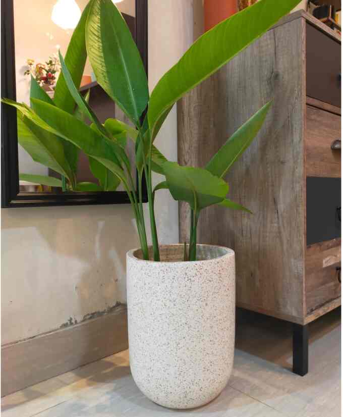 POT TERAKOTA PREMIUM KAPSUL D20T30 /TANAH LIAT/GERABAH