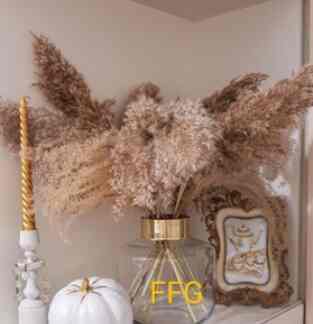Dried Flower Pampas Reed