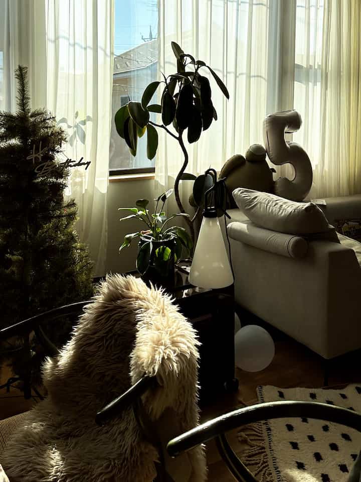 ふかふかなシープスキンに
クリスマスツリーやベニワレン 
誕生日デコレーション。子供がいることで多少インテリアは気を使うけれど、楽しいなとも思います
#子供のいる暮らし