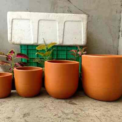 pot teracotta