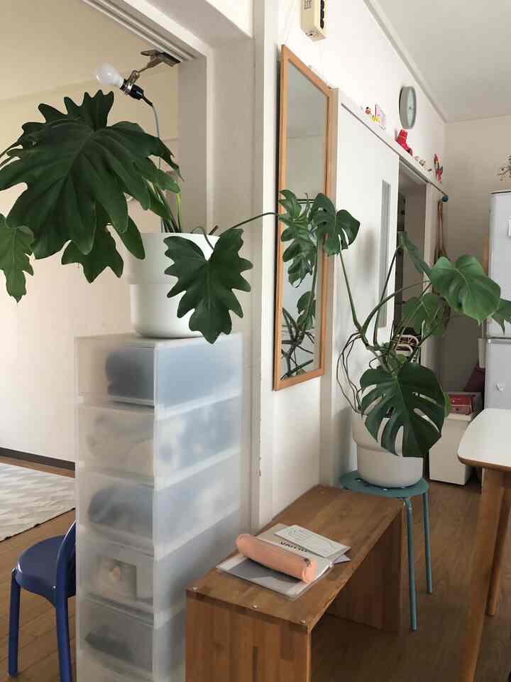 白と茶色の落ち着いたトーンの狭いホームオフィス、植物と収納家具、木製ベンチが配置された自然な雰囲気のあるインテリア