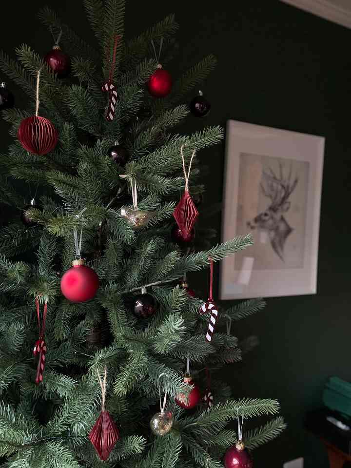 今年のクリスマスツリーは赤にしました！
少し落ち着いた赤にして、
大人な感じに♡
朝の光が入りオーナメントが光るのを見ると
幸せな気分になれます

#living #livingroom #christmas #christmasdecor #christmasdecoration #mantlepiece #diy #christmastree #ikea #candle #インテリア #リビング #クリスマス
#クリスマスデコレーション #クリスマスツリー
#キャンドル #イケア
