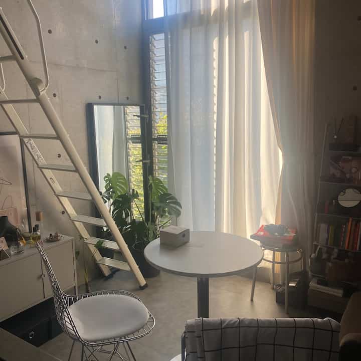 ホワイトとグレーの色調が特徴のワンルーム、丸テーブルと植物が配置された落ち着いたシンプルなスカンジナビア風インテリア