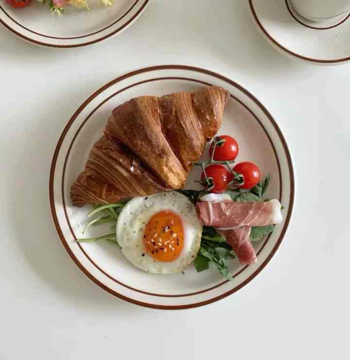 STRIPE BROWN DISH B0489 プレート