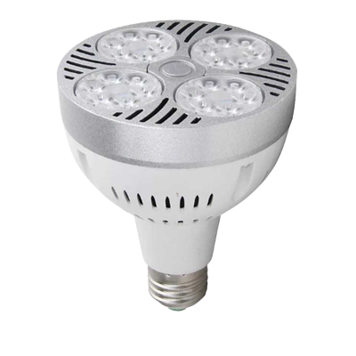 lampu sorot led par30