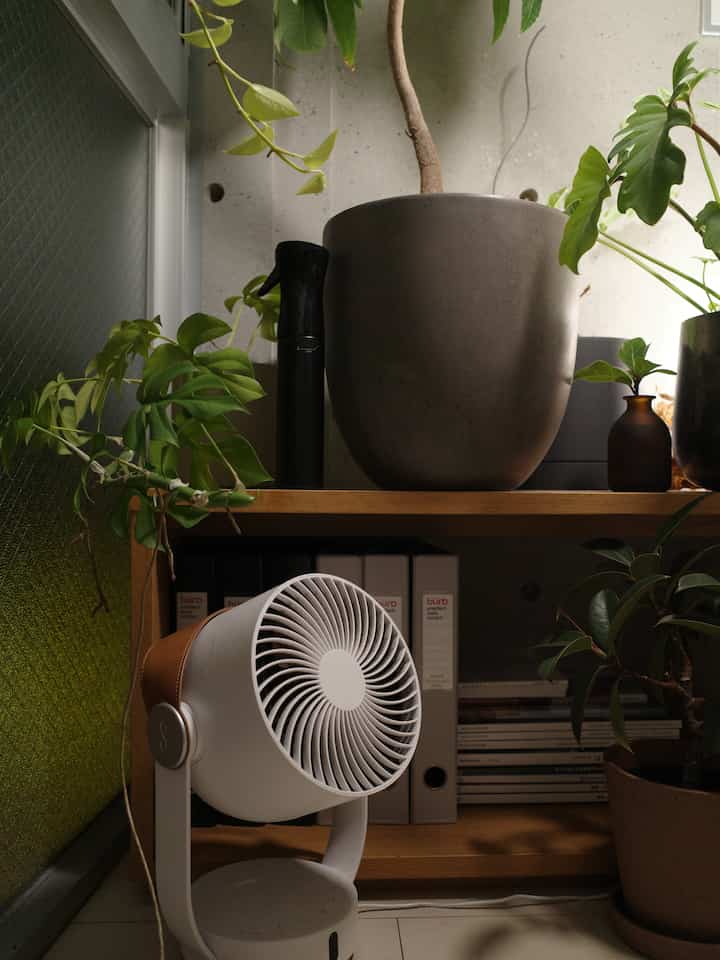 White and brown toned living room featuring wooden shelving and multiple plants with a cozy atmosphere