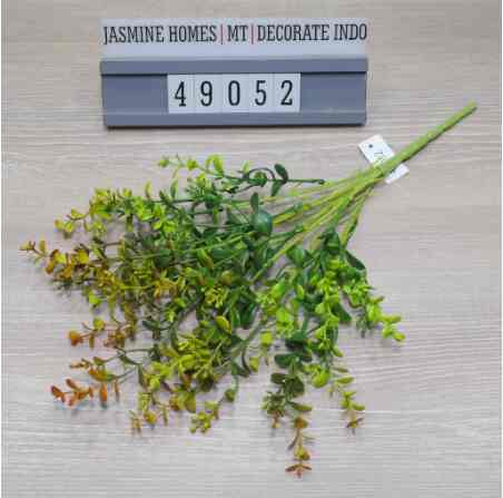 Eucalyptus Mini 21Rumpun 7Cabang