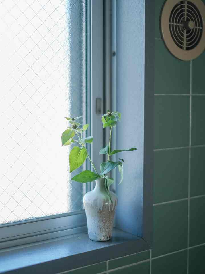 柔らかなブルートーンとグリーンタイルのキッチンと玄関、窓辺に花瓶と緑の植物が配置された朝の空間