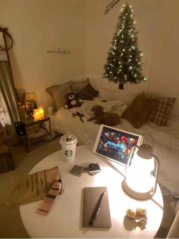 Cozy single household bedroom in warm brown and white tones featuring a dog on bed and festive Christmas wall decorations