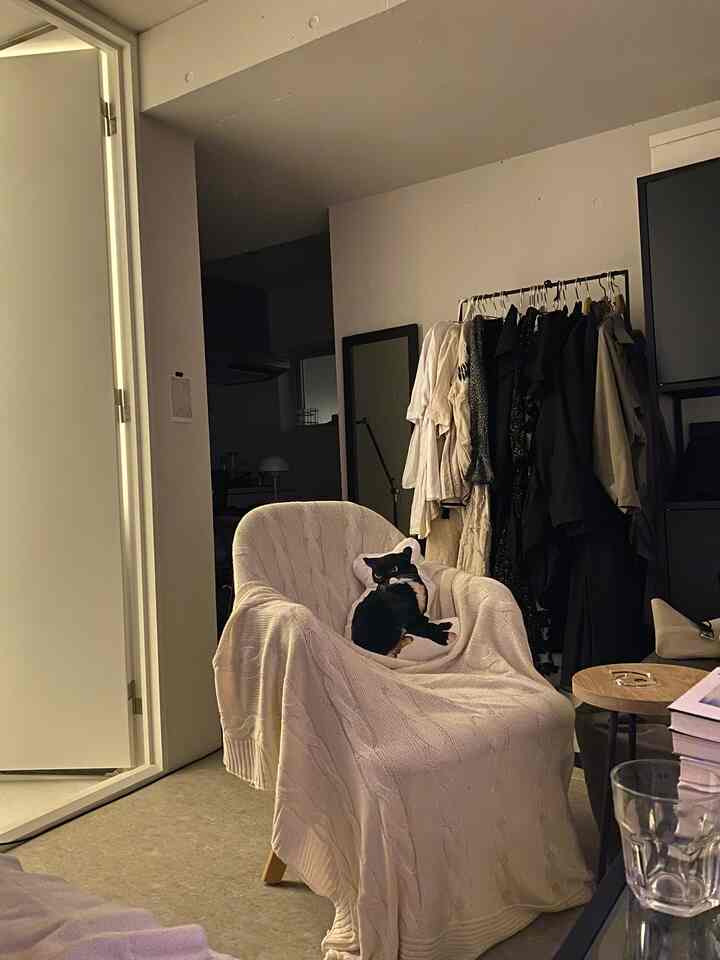 A small single household room in white and black tones, featuring an armchair with a cat-shaped cushion in a natural modern style