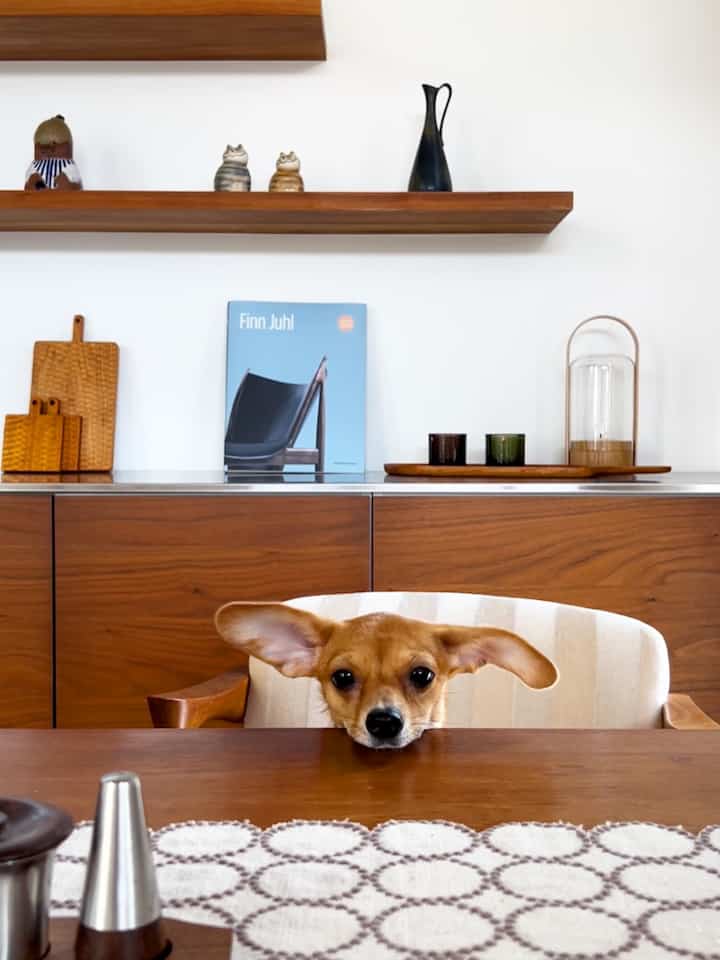 A Scandinavian living room with white walls and natural wood furniture, featuring a cute dog sitting at the wooden dining table in a simple setting