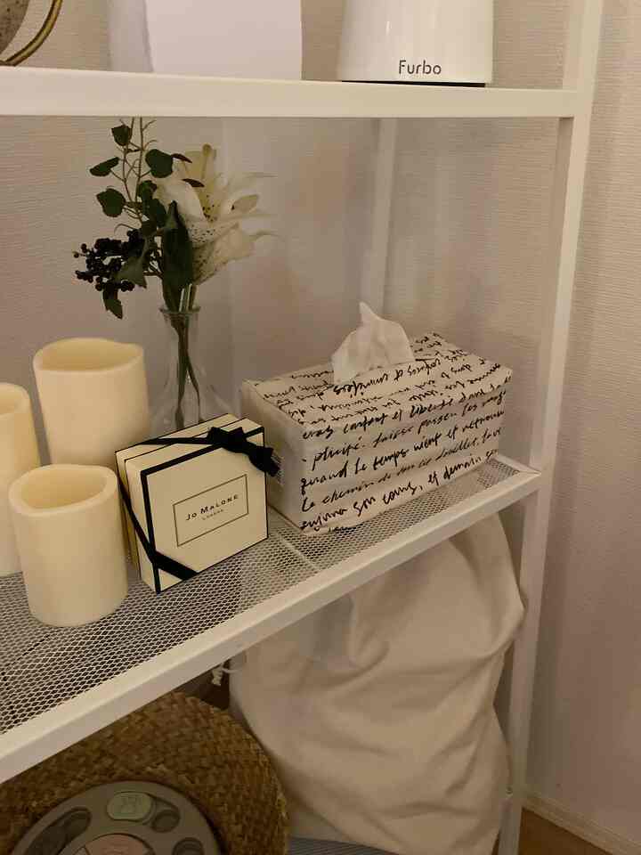 White-toned shelving space featuring organized dog supplies and a pet camera in a clean natural interior