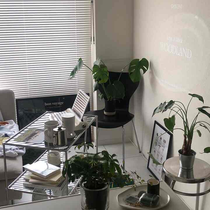 白い背景と自然なグリーンプラントが調和した、現代的でミニマルな印象のリビング空間