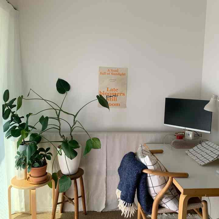 ワークスペースは日当たりがよくて日中も過ごしやすいです☺︎
植物を近くに置くと仕事中のリフレッシュになります★

#ワークルームインテリア #ワークスペース #ワークルーム 