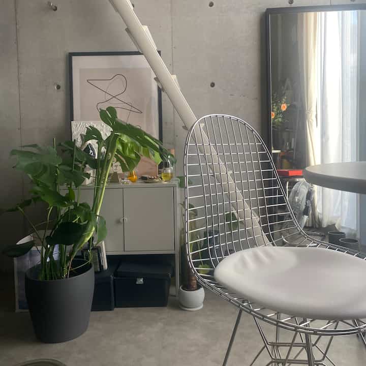 モンステラ急成長な夏でした🌱
#コンクリート打ちっぱなし
#観葉植物のある暮らし
#ikea 