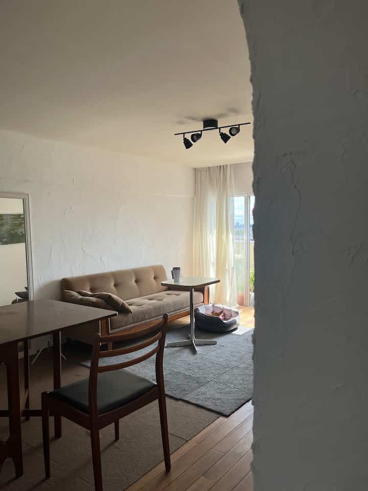 Natural toned living room with white walls and brown sofa, cozy space featuring a pet bed near the window