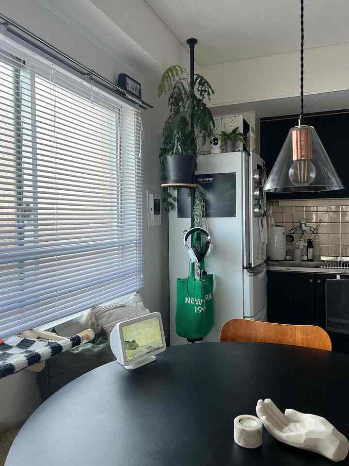 Simple kitchen and dining room with white walls, green plants, and a pendant light as a focal point