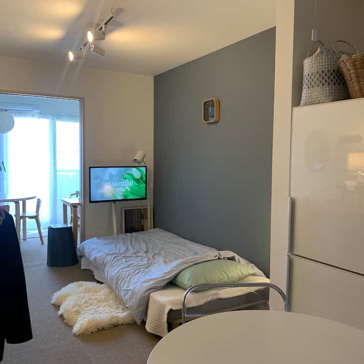 Modern studio bedroom with gray feature wall and white walls, featuring a bed with gray duvet cover and green pillow creating a harmonious atmosphere