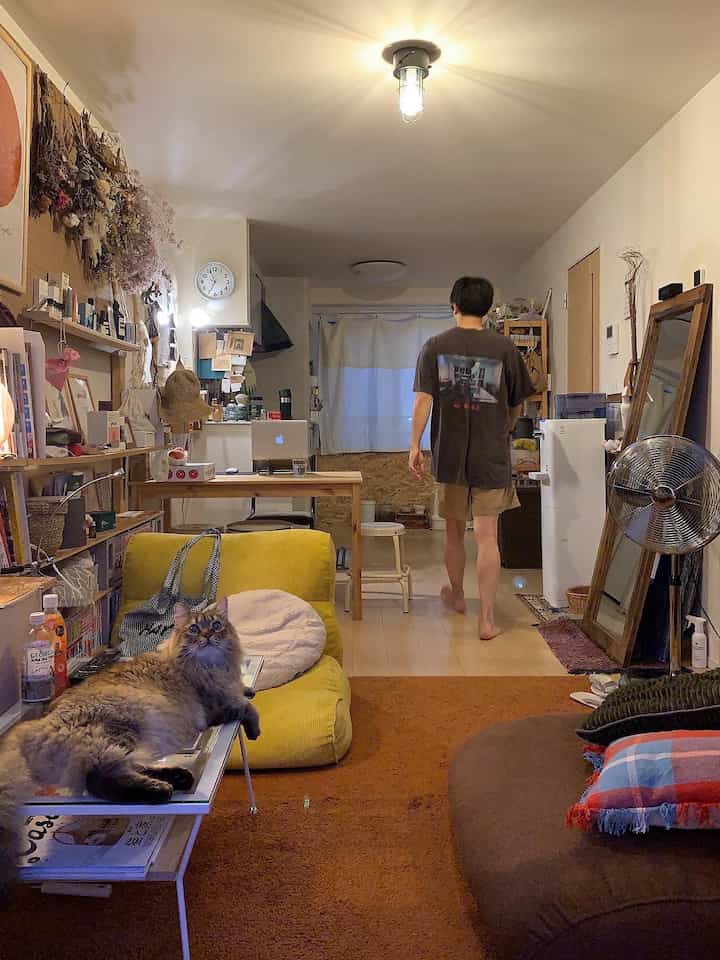 暖かいベージュとブラウンの色調の狭いリビング、黄色いソファとふわふわの猫が配置された自然な雰囲気のインテリア