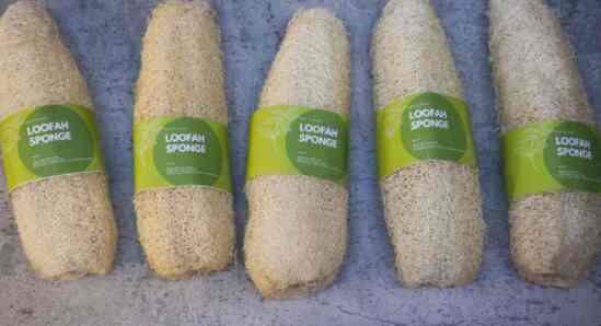 Loofah spons mandi dan spons cuci piring serat utuh herbal natural