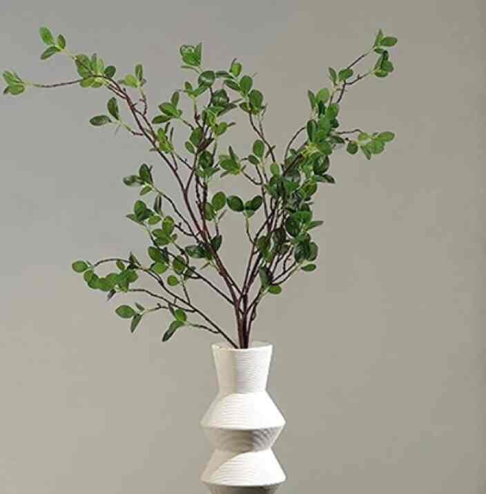 Artificial Aglaila Leaf Long