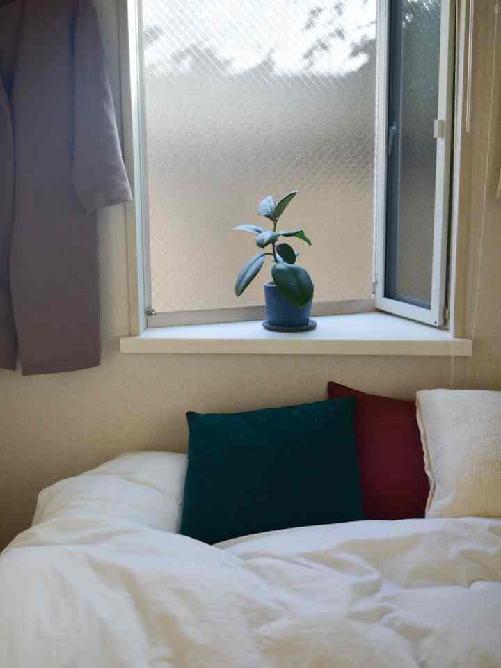 白とベージュの色調の寝室、窓辺に緑の観葉植物、クッションと枕が配された居心地の良い空間