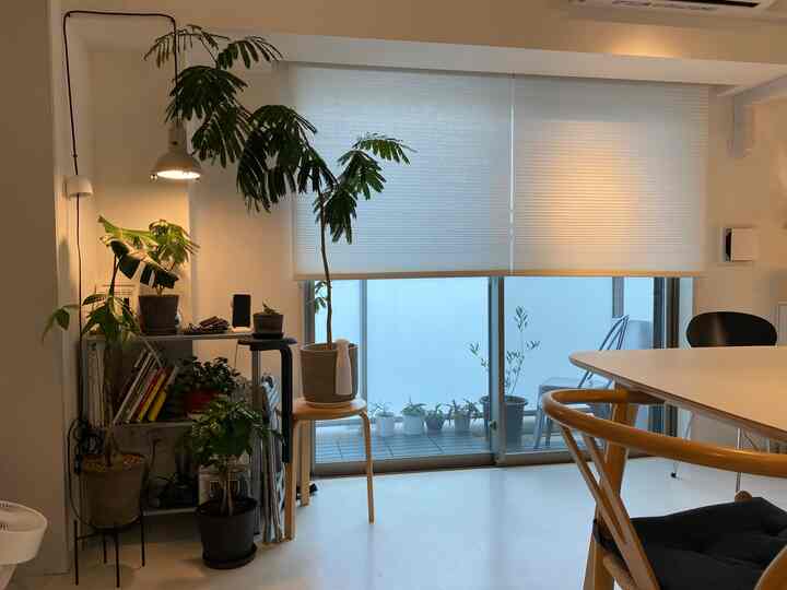 ホワイトトーンのリビングルーム、木製ダイニングテーブルと多様な植物が配置された自然で落ち着いたインテリア
