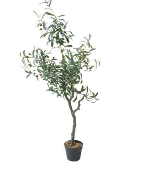 Tanaman Artifisial Olive 125cm
