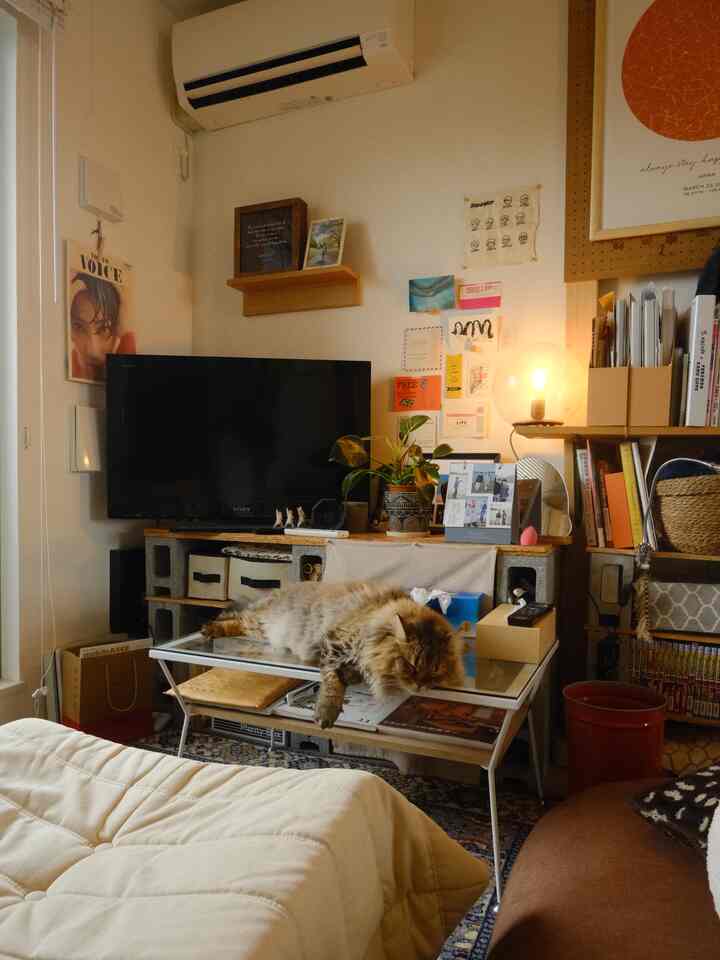 ナチュラルな色調のリビング、ガラスのコーヒーテーブルの上に猫が横たわり、居心地の良い空間