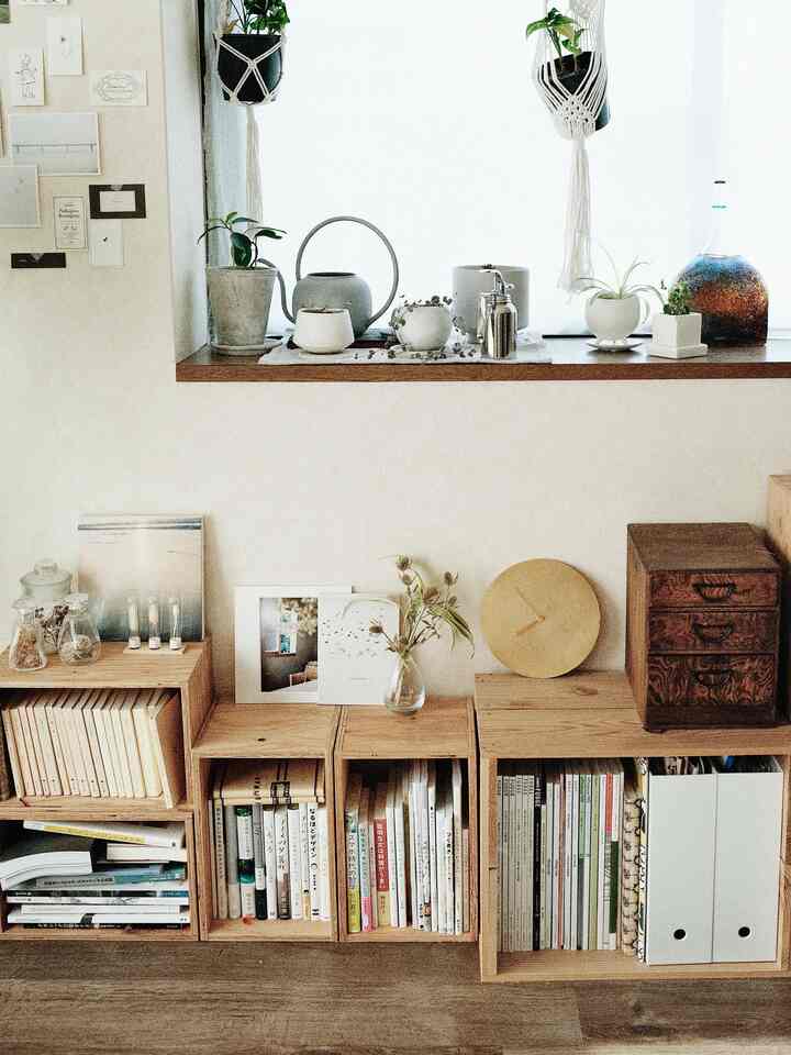 ナチュラルな色調の1LDK空間、木目調の本棚と植物が配置された落ち着いた読書スペース