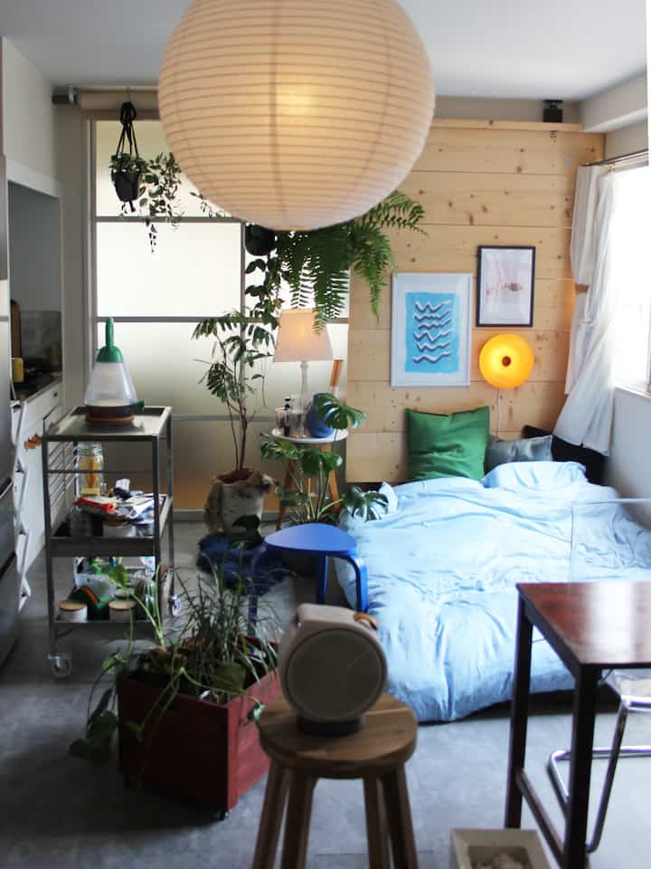 Natural wood and green plants in a 6-tatami bedroom, bright and cozy studio apartment space