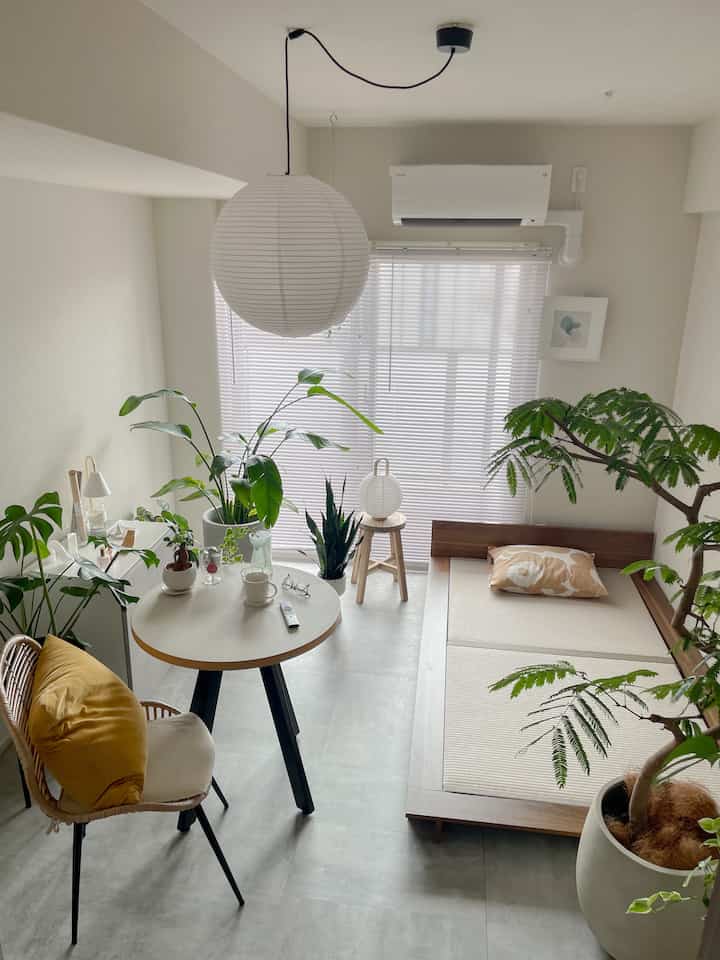 Natural tone living room featuring wooden furniture and various plants with a cozy and clean atmosphere