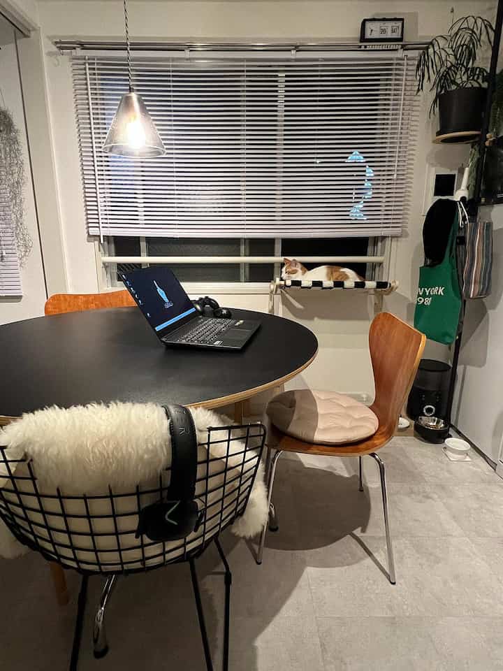 Modern dining room with black round table and varied chairs, cat hammock by the window creating a cozy atmosphere
