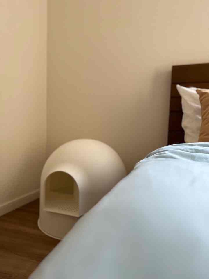 ホワイトとブラウンの色調の寝室、ベッドとスノードーム型猫トイレが配置された清潔でナチュラルな空間