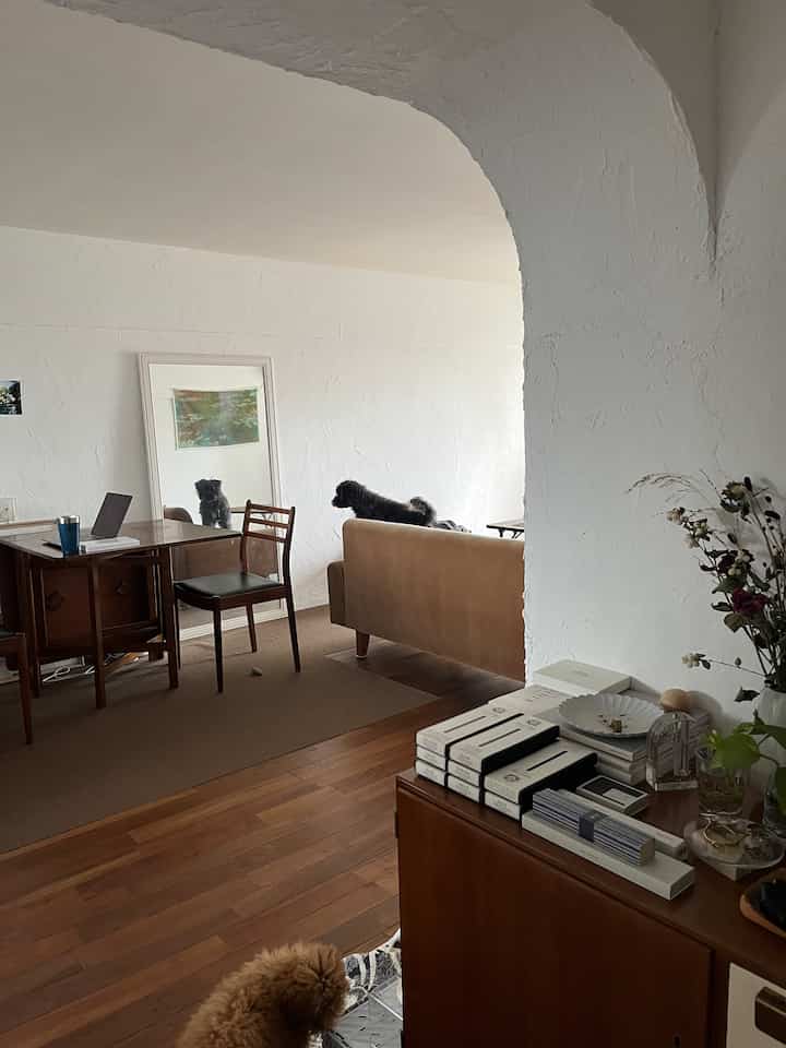 白い壁と木目調の床が特徴のリビング、ブラウンのソファと犬二匹がいるナチュラルな雰囲気のインテリア