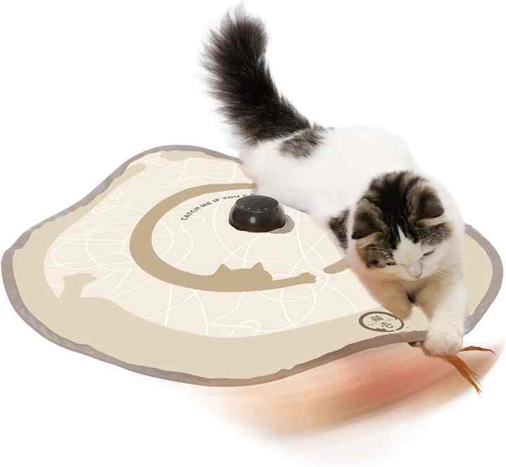 猫壱 キャッチ・ミー・イフ・ユー・キャン2 猫用電動おもちゃ