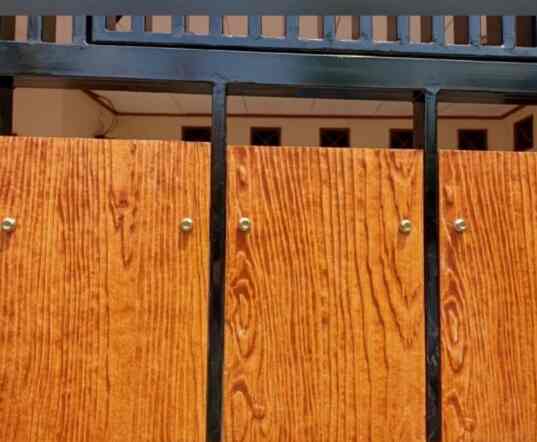 Shera Plank Shine Light