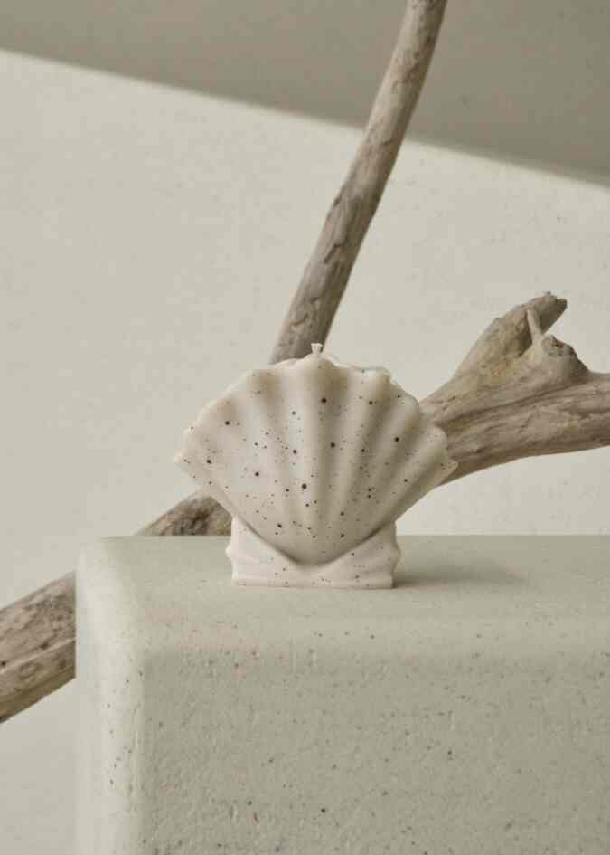 frill shell キャンドル［2色］